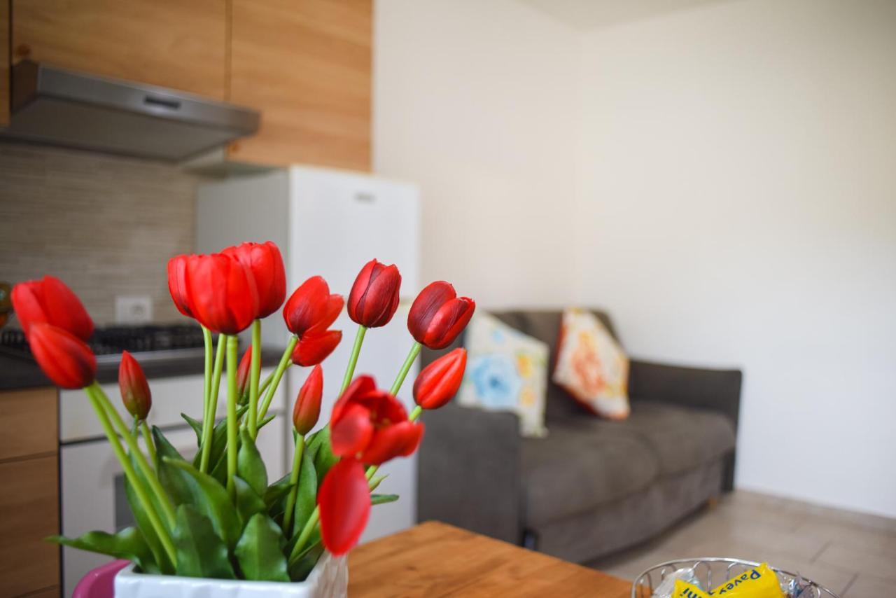 ايسكيا Porto Home المظهر الخارجي الصورة